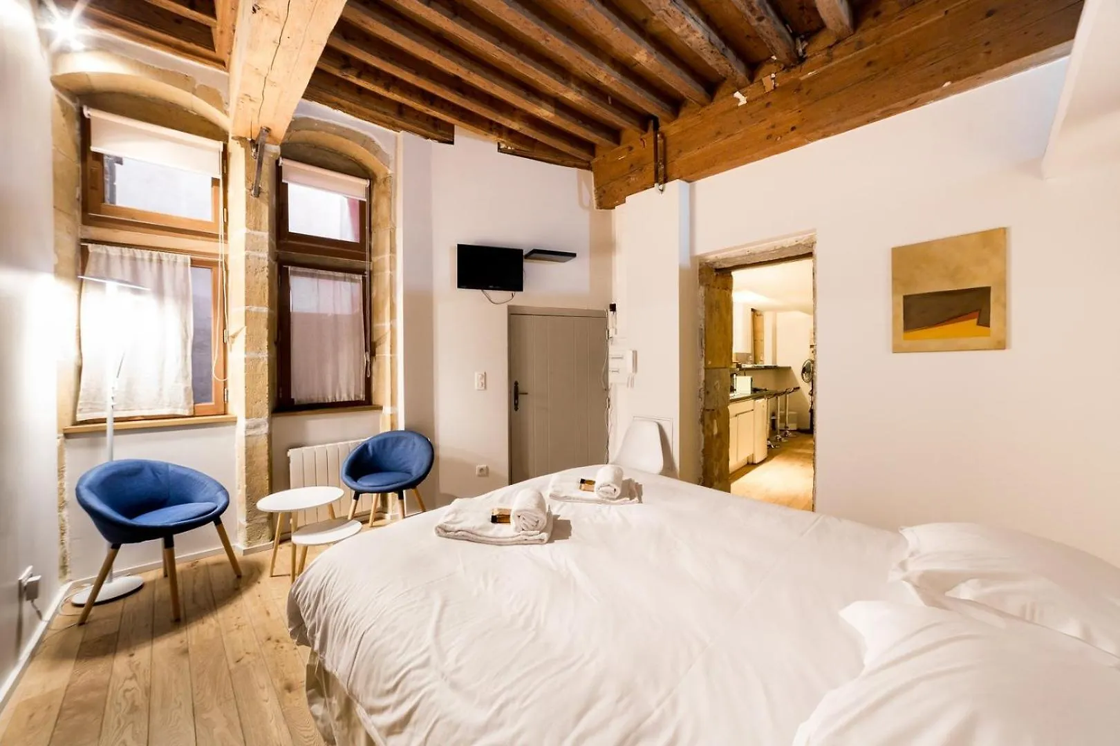 Apartman La Suite Bibliotheque - Quartier Historique Ail Lyon